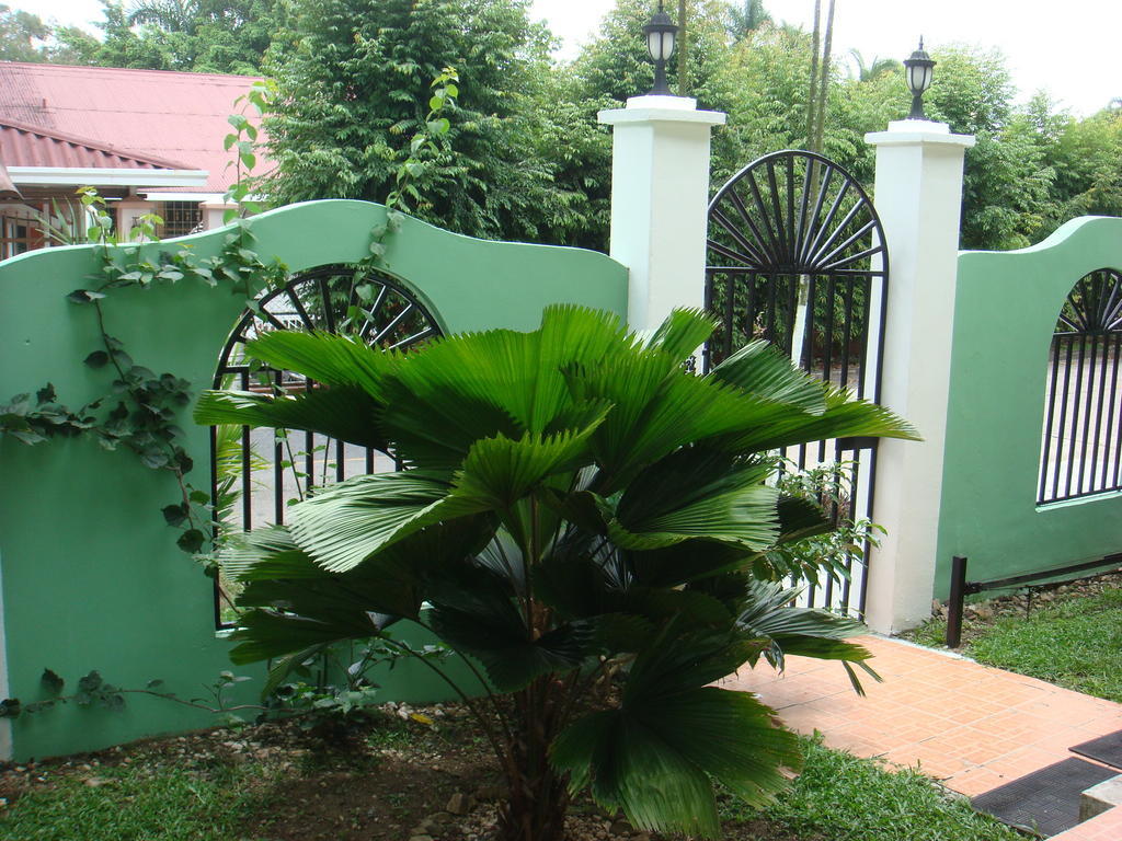 פנמה סיטי Dos Palmitos Bed And Breakfast מראה חיצוני תמונה
