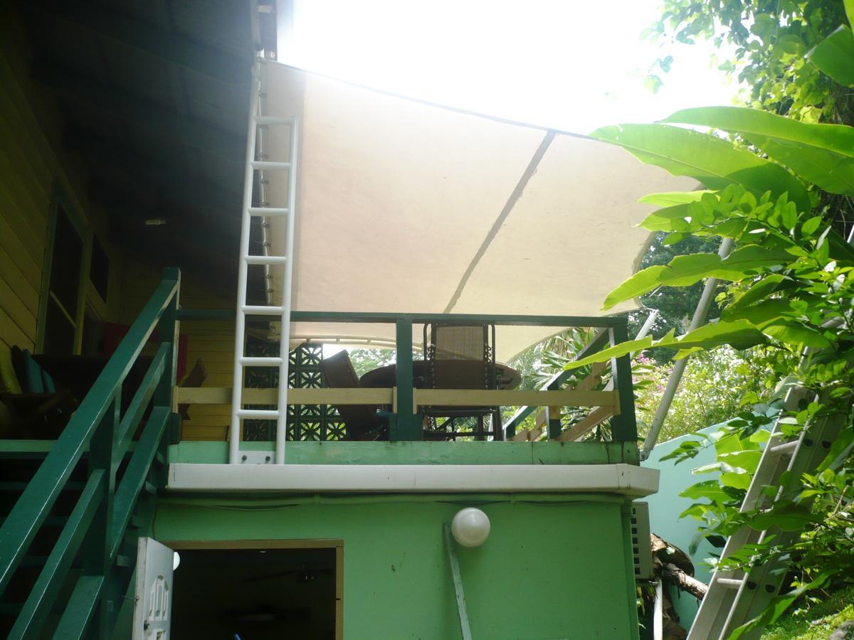 פנמה סיטי Dos Palmitos Bed And Breakfast מראה חיצוני תמונה